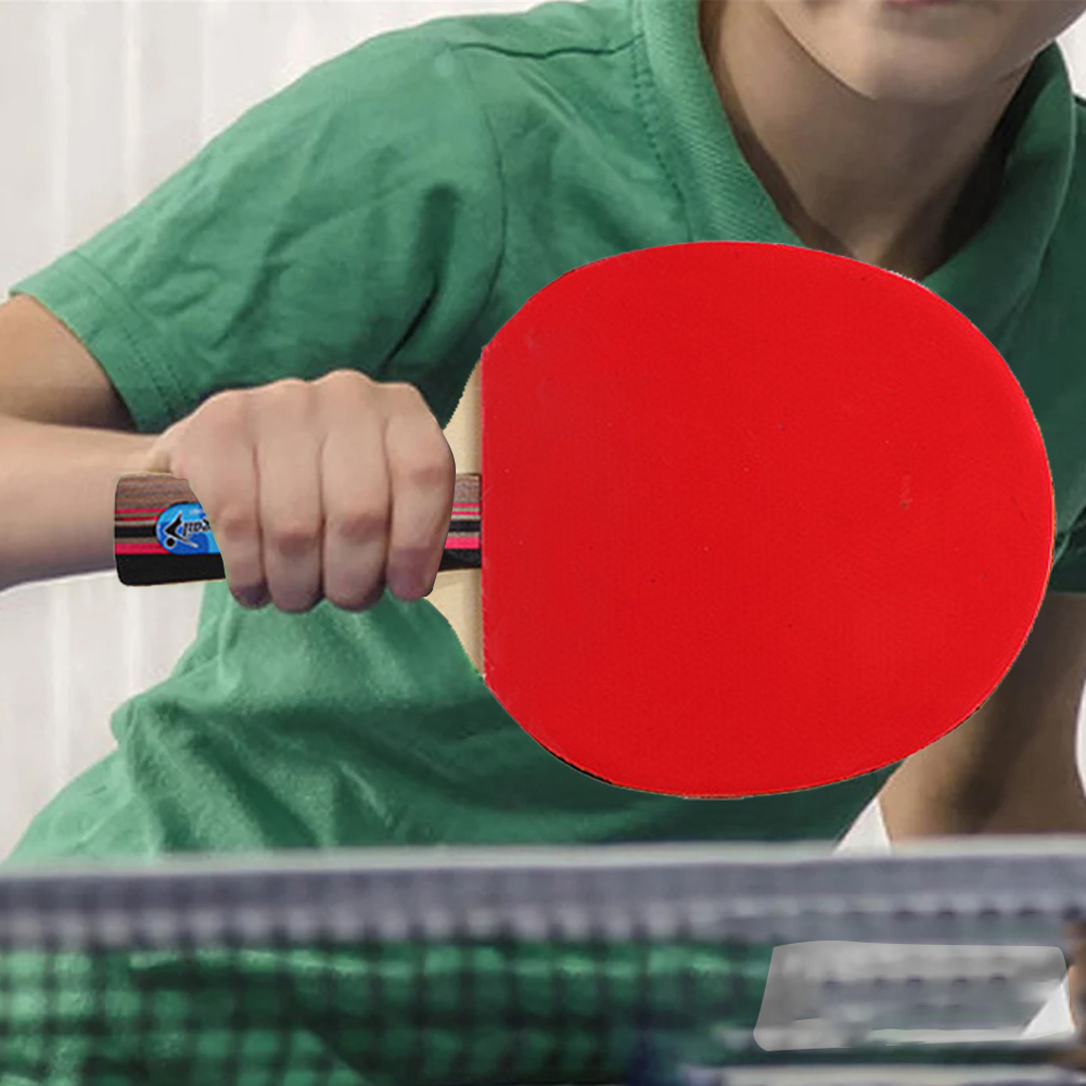 Pingpongset met opbergtas, taf - Table Tennis Player recensie en prijs