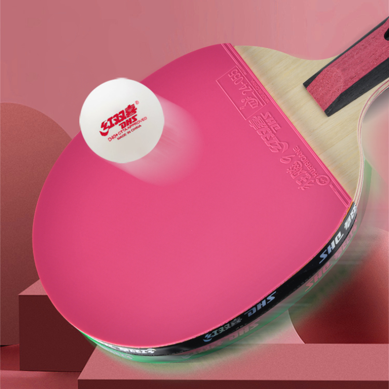 DHS 6-sterren tafeltennisracke - Table Tennis World recensie en prijs